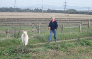 Dog walks at The Red House Kennels